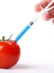 bisphenol-a-hormone-suspecte-obesite-diabete-maladies-250414444